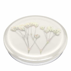 PopSockets PopGrip Pressed Flower Baby's Breath